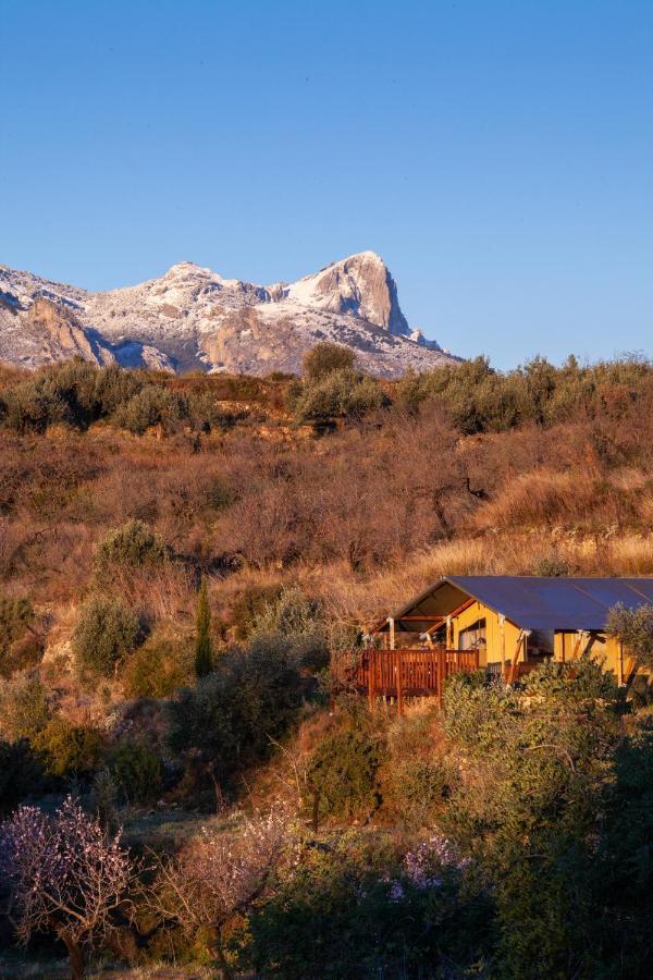 Can Elisa Safari Tent Tarbena Экстерьер фото